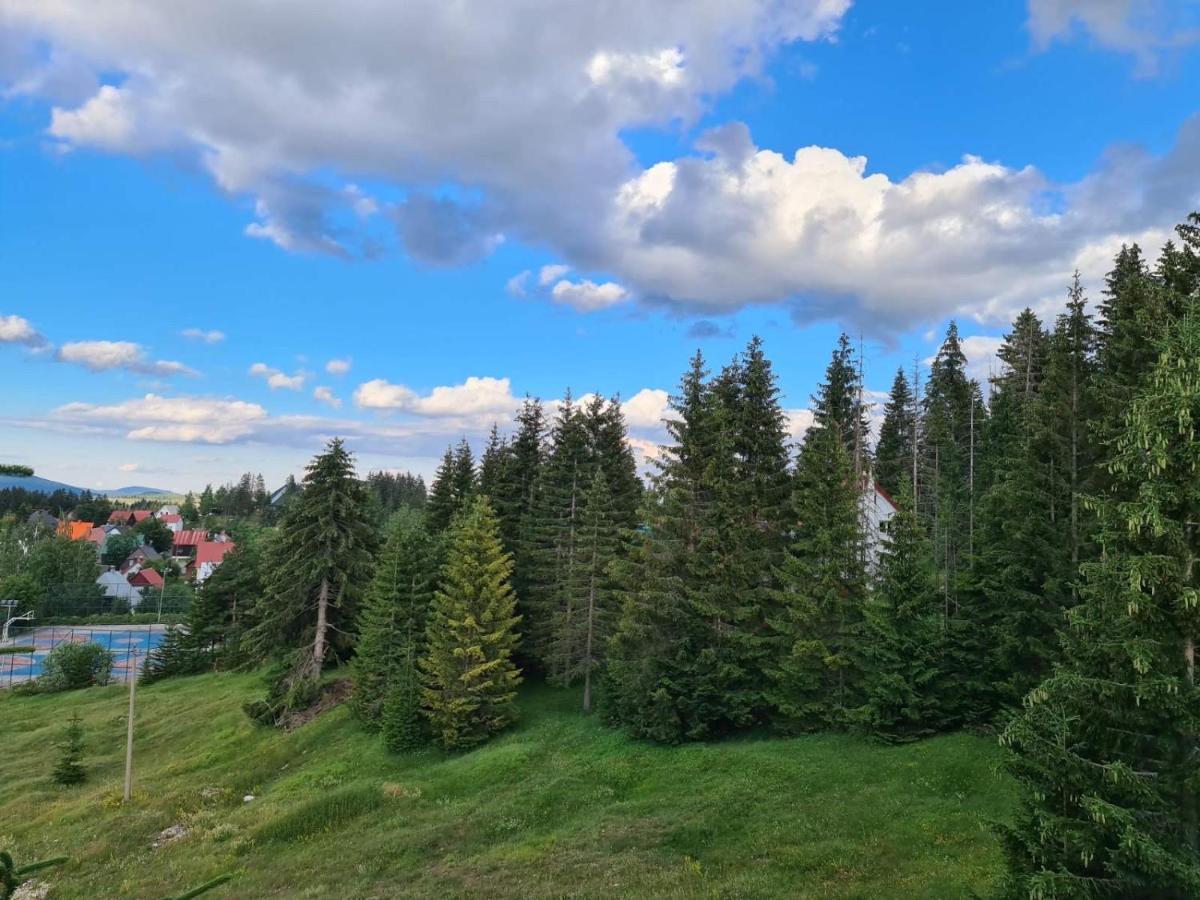 Turisticki Apartmani “Kraljeva Stolica” Zabljak  Exterior photo